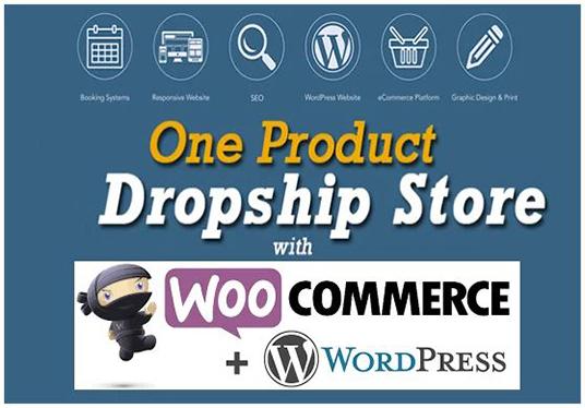 Build Wordpress Ecommerce Website Or Dropshipping Sto...