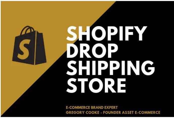 Build You A High Converting Dropshipping Shopify Stor...