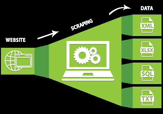 We shall do web scraping or data mining of any websit...