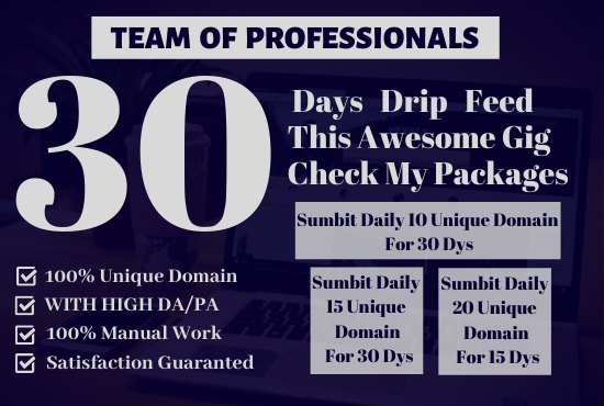 I Will 30 Days Drip Feed 10 Unique Domain Seo High Qu...