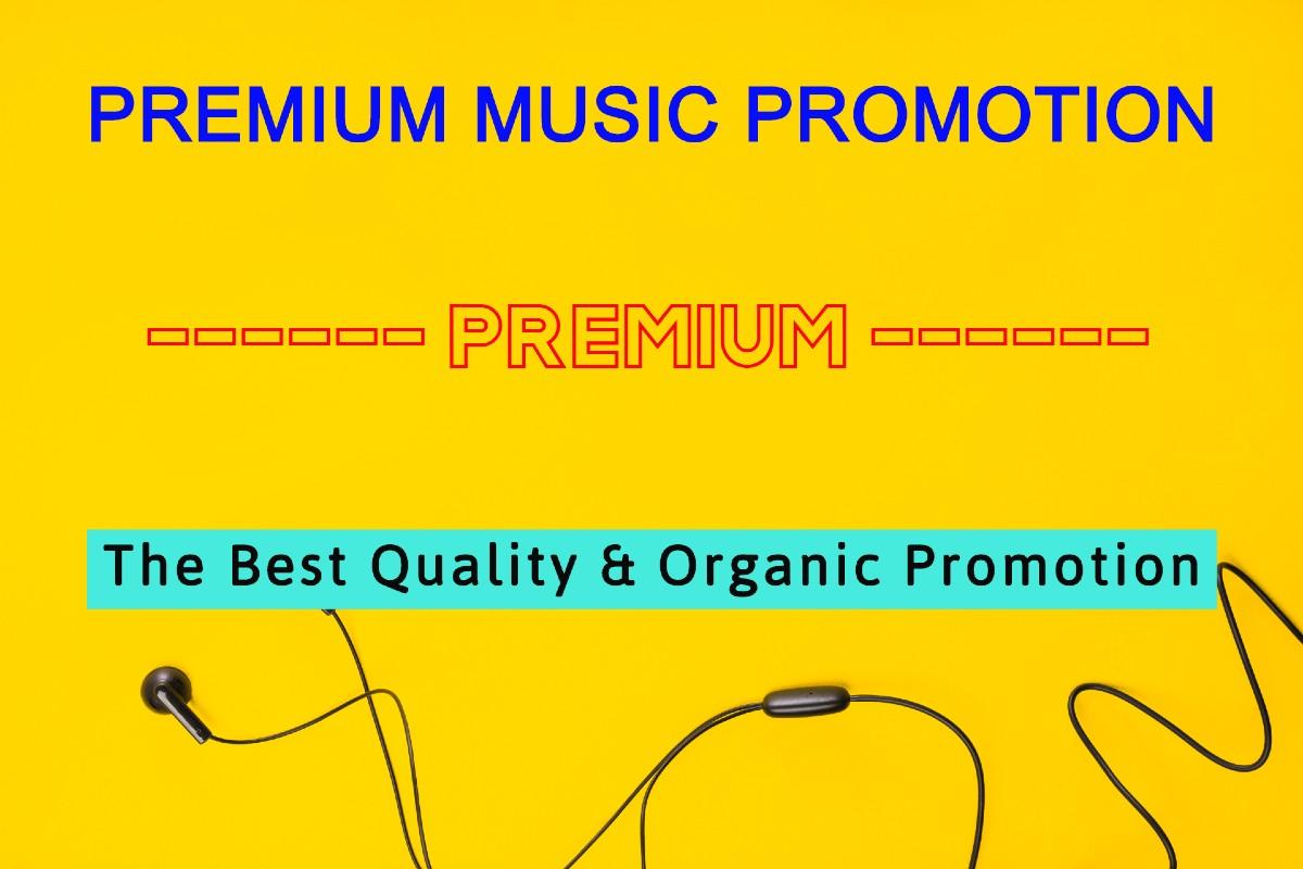Promote Manually Music Promotion