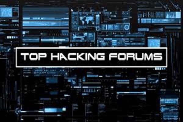 I WILL test your website if it is ddos vulnerable, a...