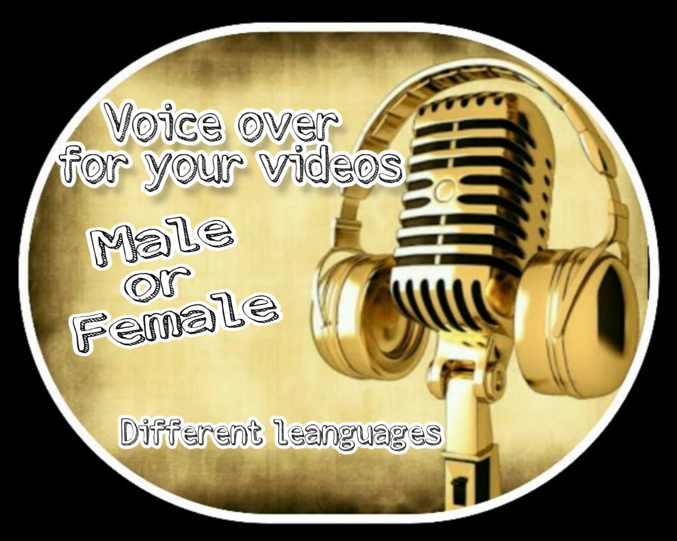 I will record a perfect voice over - any language for...