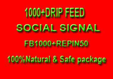 1000+ High quality Drip Feed Social Signal