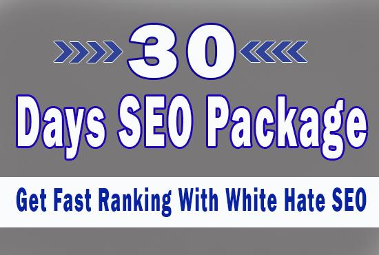 White Hate SEO package For 30 days with Daily Link bu...