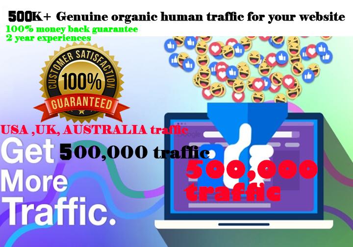 i will drive 500,000 real and organic web traffic to ...