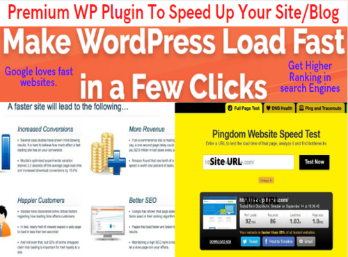 Get Premium WP Plugin to Speed Up Your Site or Blog -...