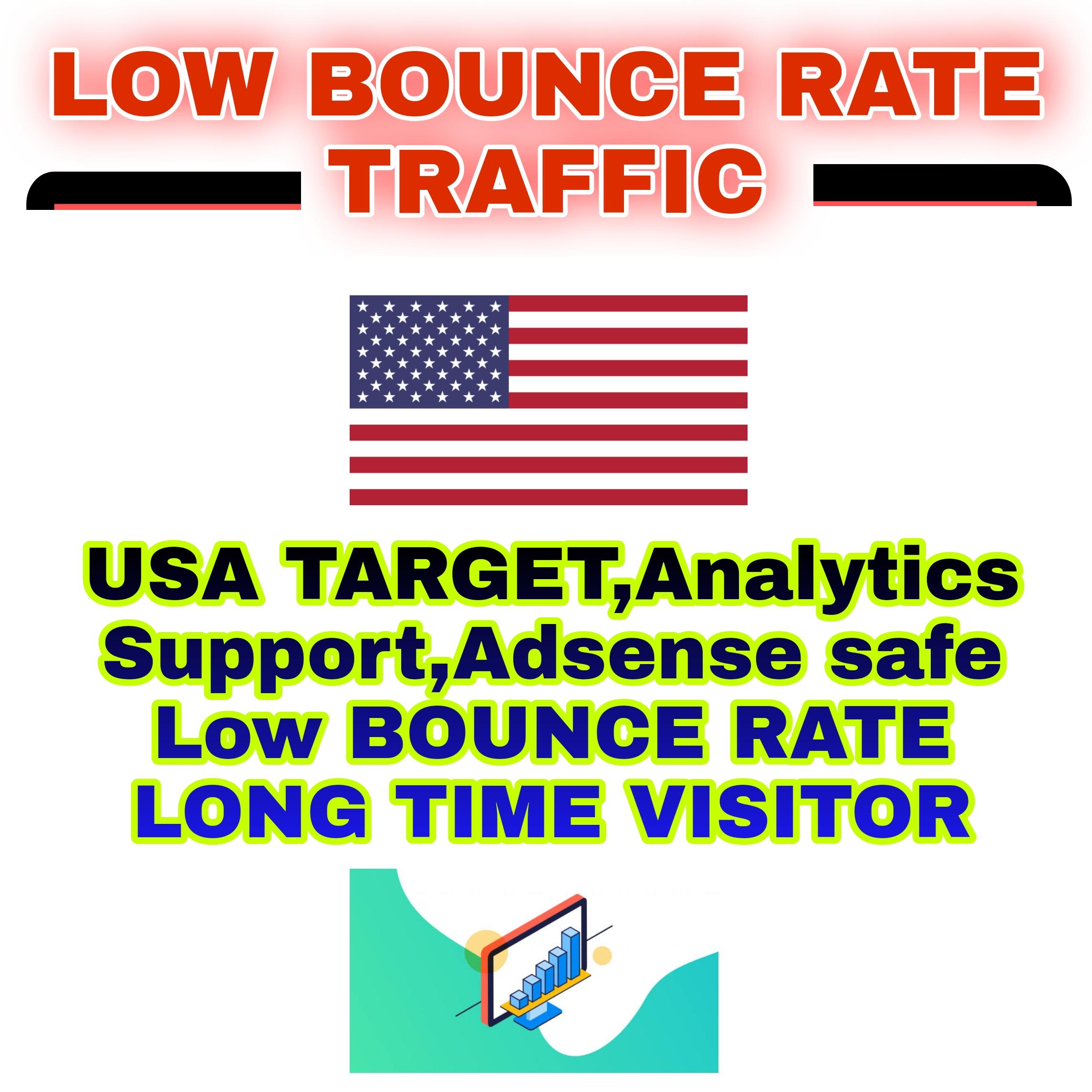 1000 Real & High Quality Usa Target Web Traffic -...