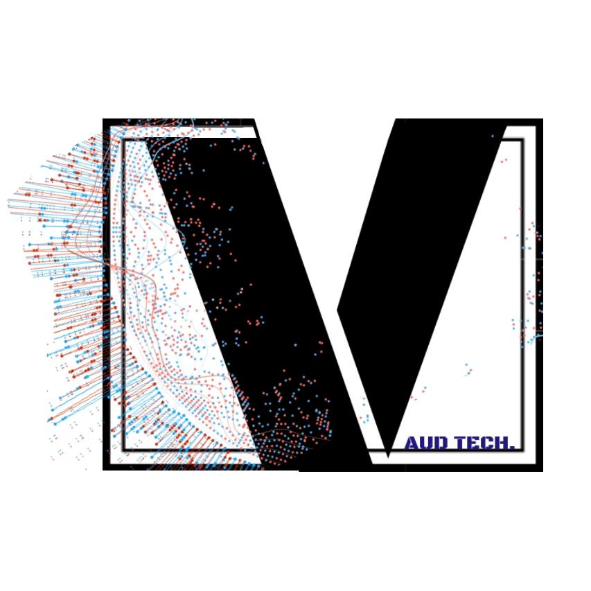 Video Editing and animation to attact your audiance