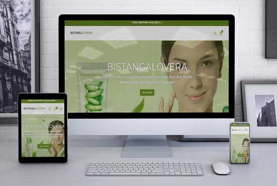 I will create a shopify one product dropshipping stor...