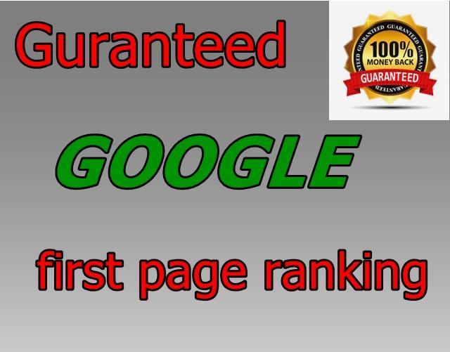 Rank your website in GOOGLE first page, guranteed