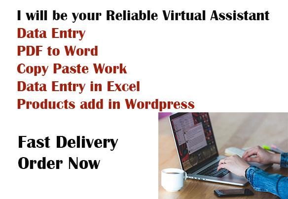 I will be your Reliable & Professional Virtual As...
