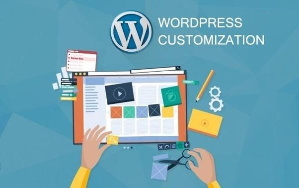 Provide 1 hour customization to Wordpress website / t...