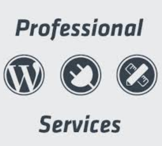 WordPress Website Development with The 7 Theme