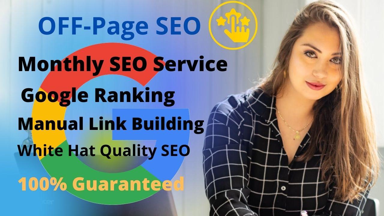 I will provide monthly off page SEO service with whit...