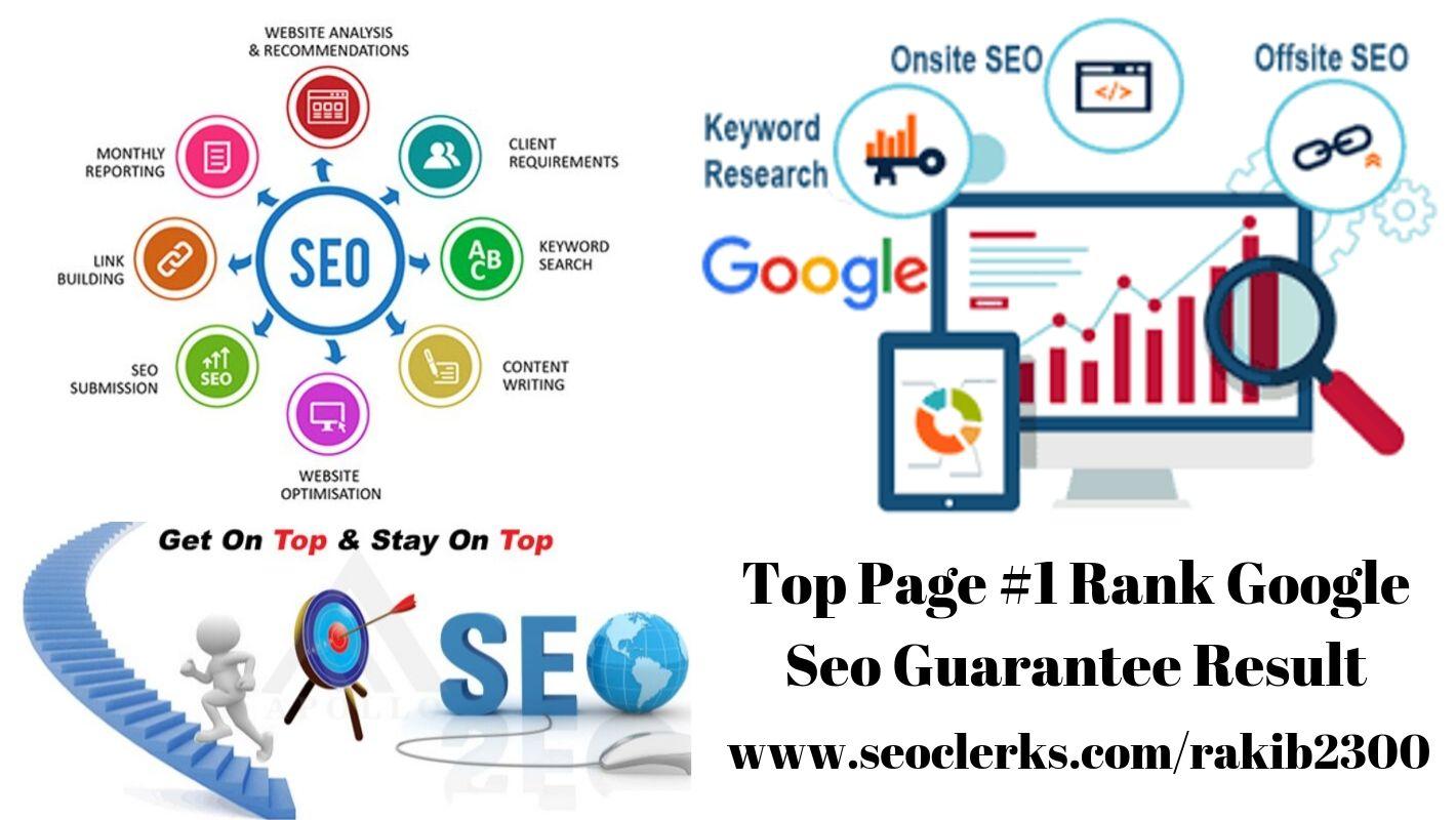 I will provide monthly excellent seo service to creat...