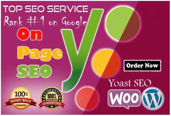 I will do onpage SEO with yoast premium in 24 hours