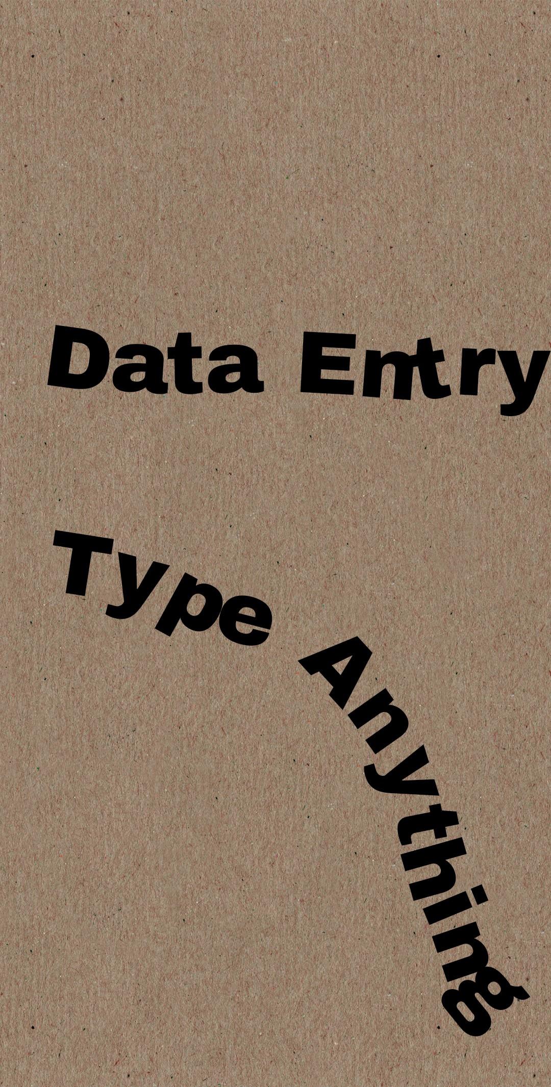 HEY, Data Entry For You And Also I Can Type Anything ...