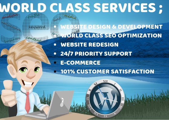 YOU NEED A PROFESSIONAL RESPONSIVE WORDPRESS WEBSITE