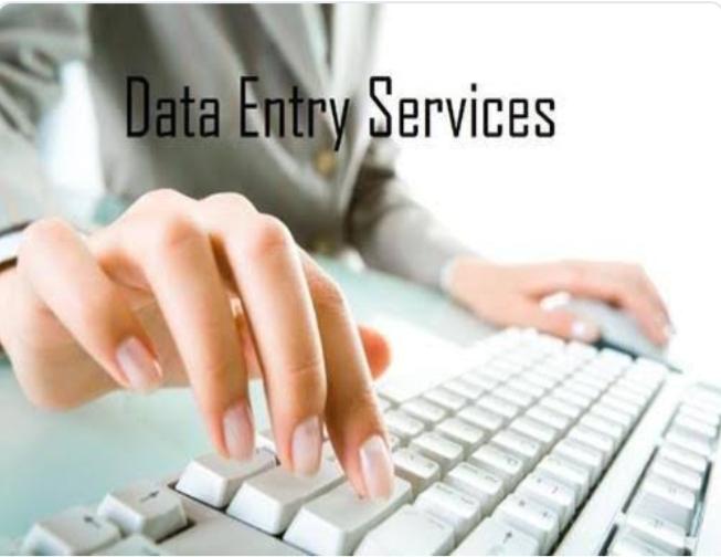 Data entry by profession on time as per customer requ...