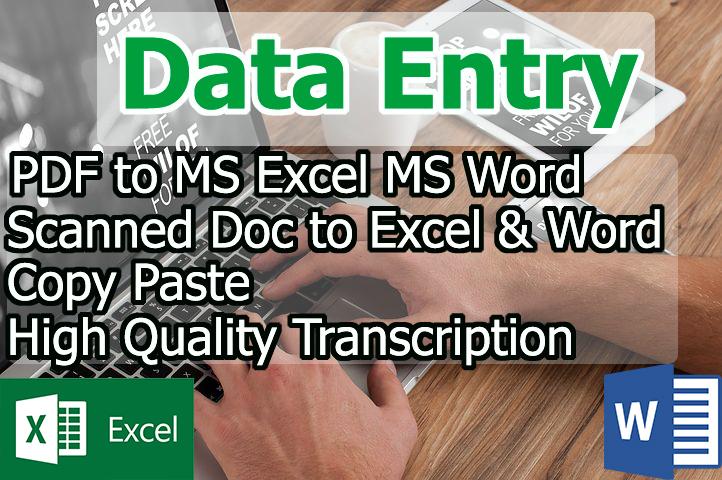 I Can Do Any Kind Of Data Entry Work As A virtual Ass...