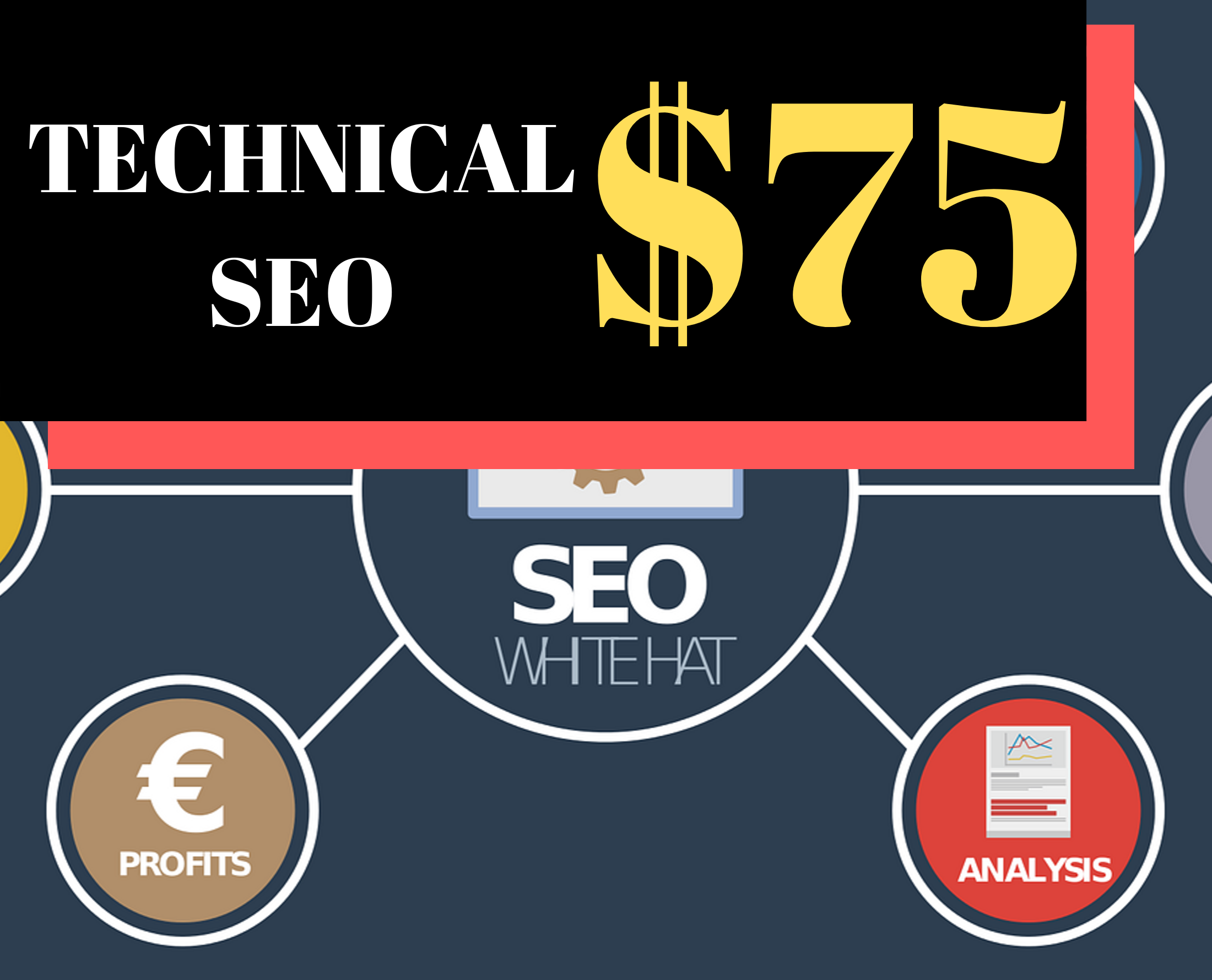 Complete Technical SEO, SEO AUDIT- 2 DAY DELIVERY