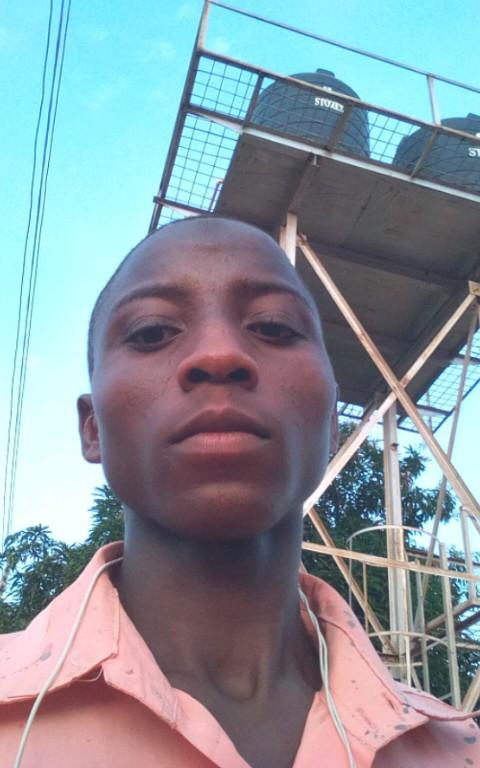 Wordpress Expert and E-commerce development