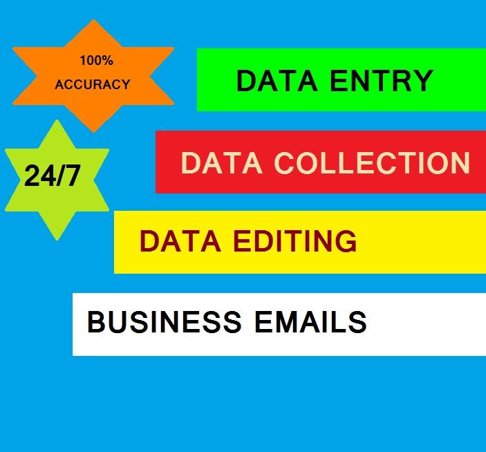 BEST QUALITY, NO MISTAKES. FULFILL YOUR DATA ENTRY R...