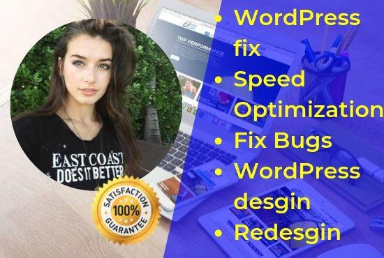 WordPress Custom Design, Speed up, bug fix, and man...