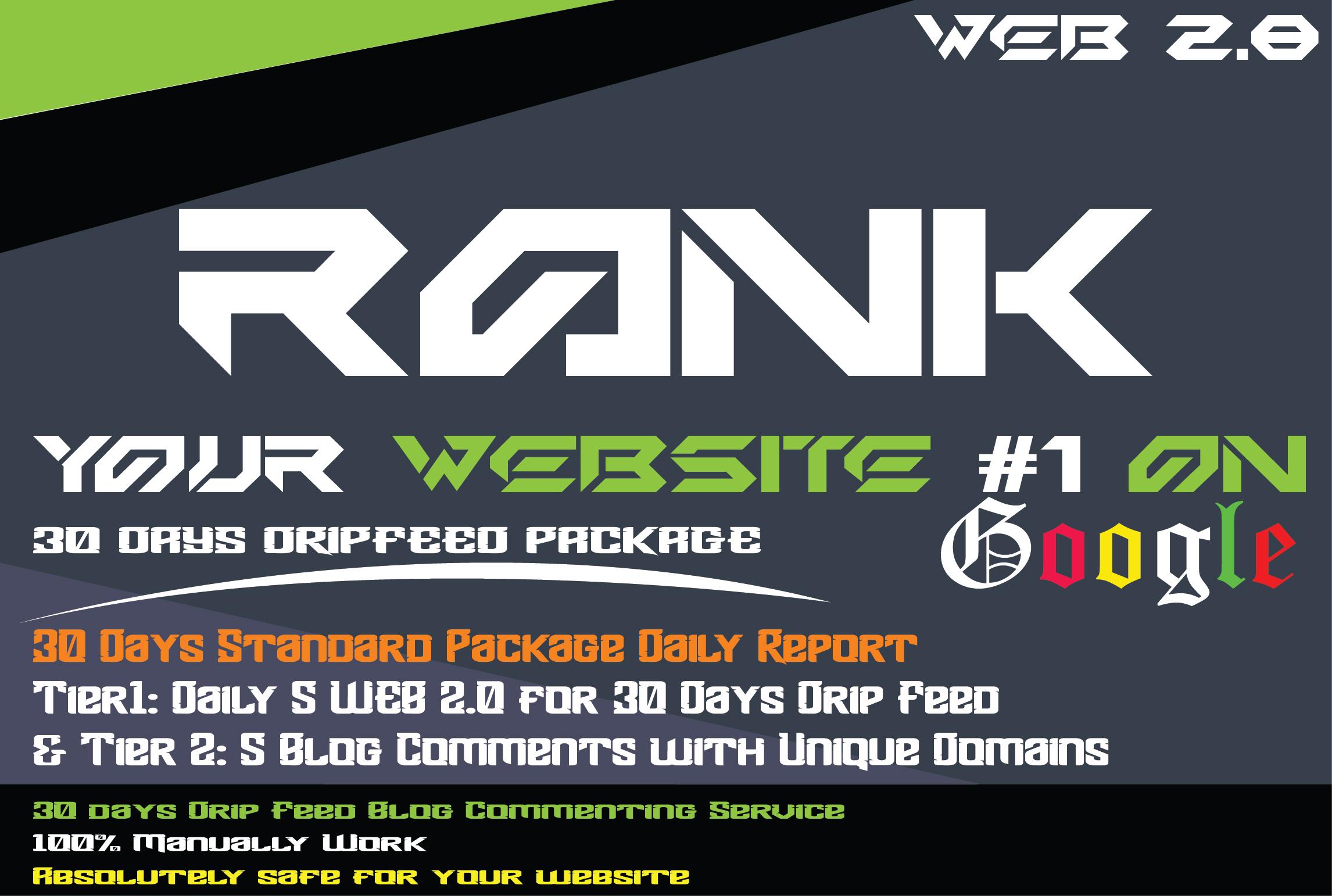 30 days drip feed seo link building Web2.0 service