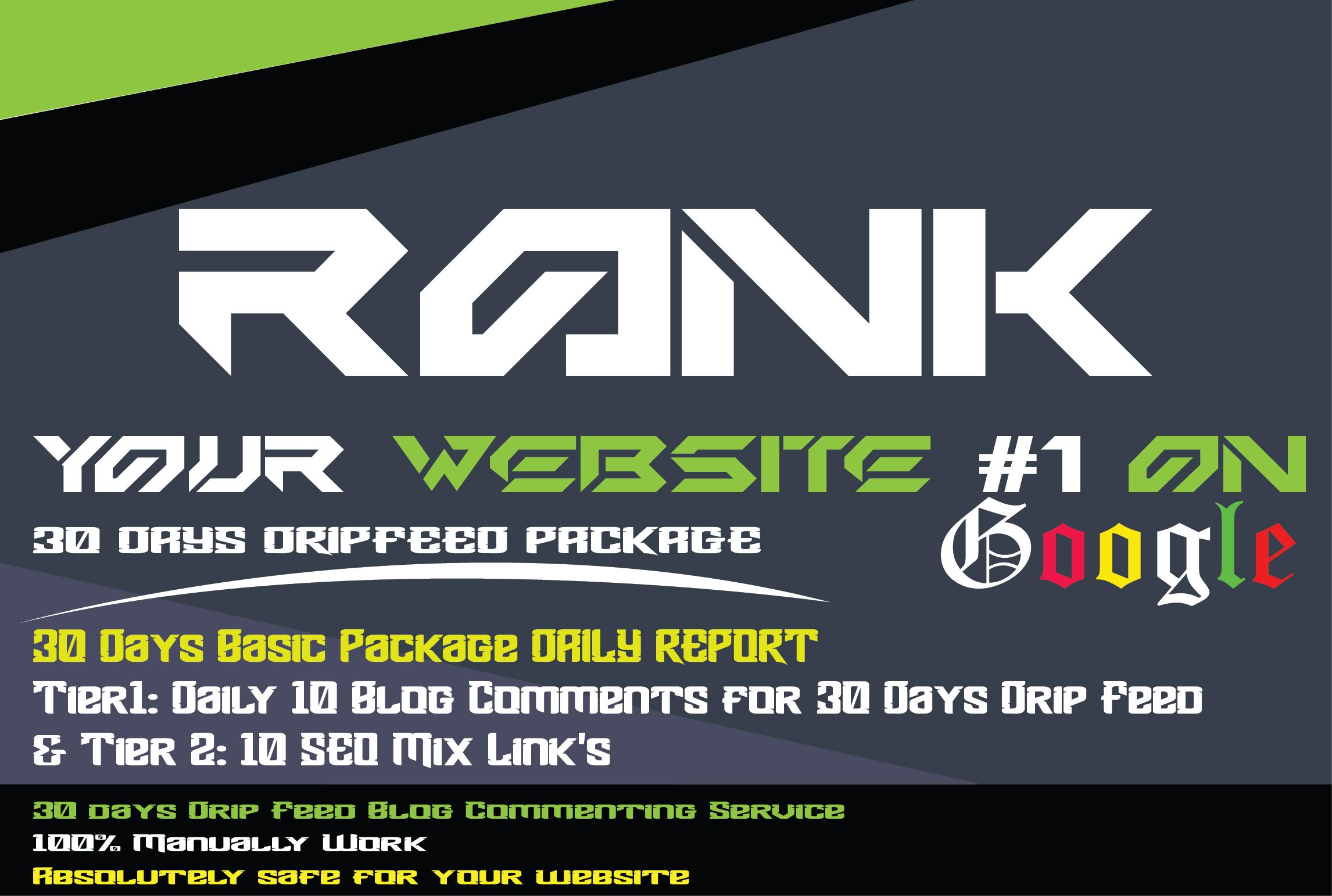 30 days drip feed seo link building Blog Comments ser...