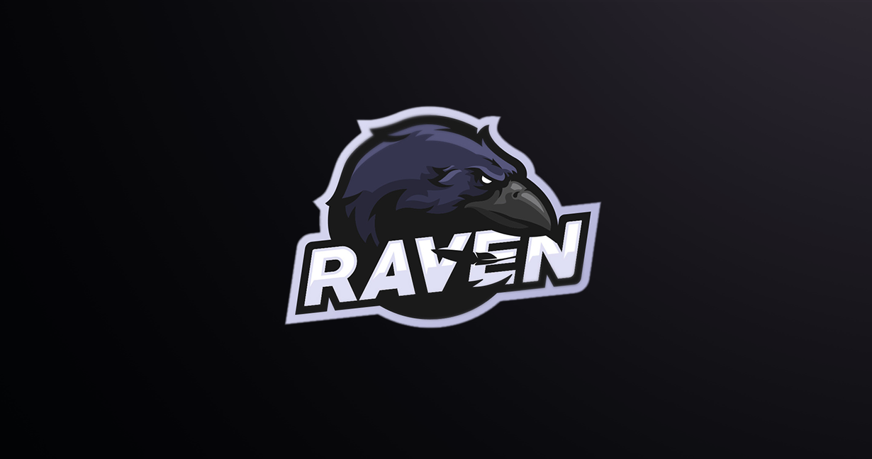 Design an Awsome E-Sports Mascot Logo