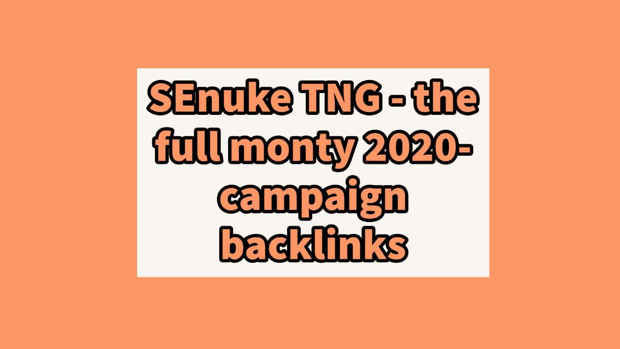 Get 25 You SEnuke TNG - The Full Monty 2020- Campaign