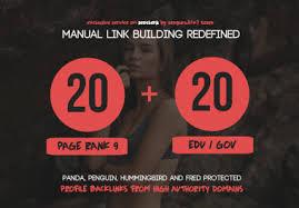 40, PR9 Backlinks and 20. Edu/. Gov Backlinks only