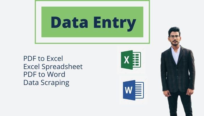 I will Enter your Data on Microsoft Word and Microsof...