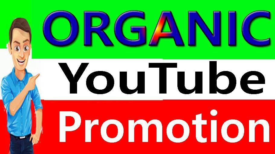 I will Do Super Fast Best YouTube Video And Chanel Pr...