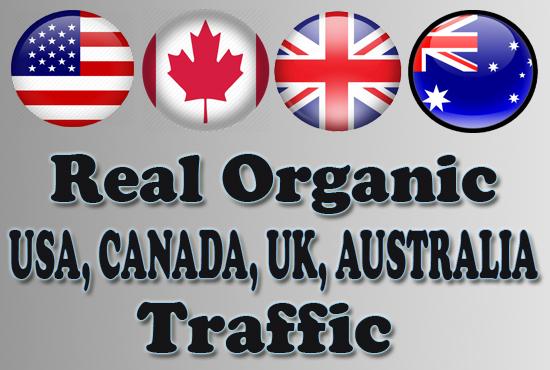 Real And Safe Google Organic Visitors USA, CANADA, ...