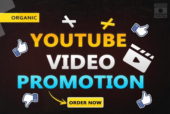 I will do youtube video promotion and grow organic tr...