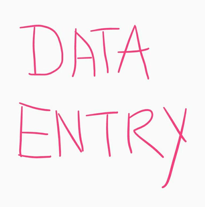 Highly capable and meticulous Data Entry Operator wit...