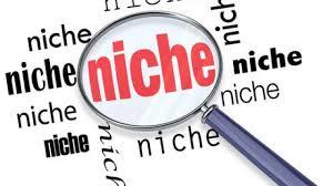 I Will 40 niche related blog comment high quality bac...