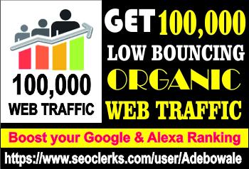 Get 100,000 Organic web traffic to your website/blog