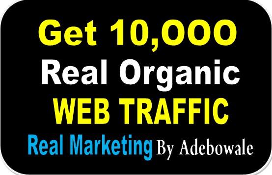 I will Drive 10,000+ Real Organic Web Traffic To our ...