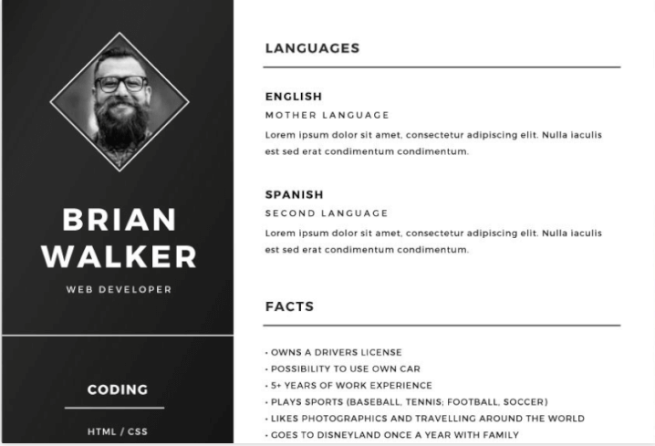 Professional attractive resumes Data Entry Typist Log...