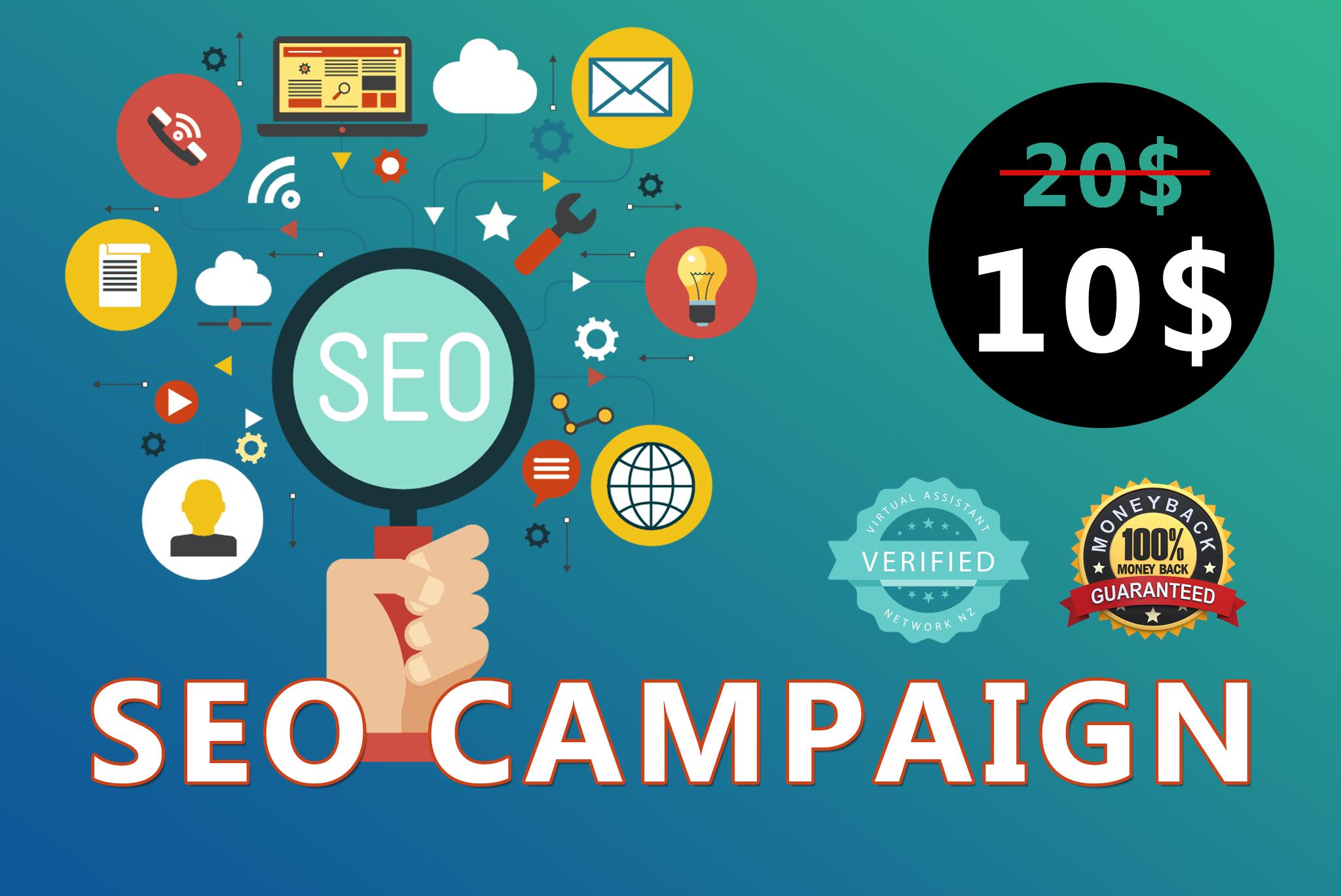 I Will do Full Monthly SEnuke Campaign