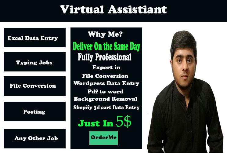 I will do bulk of data entry, typing, or copy paste...