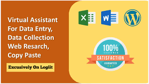 I will do data entry, lead generation, copy paste, ...