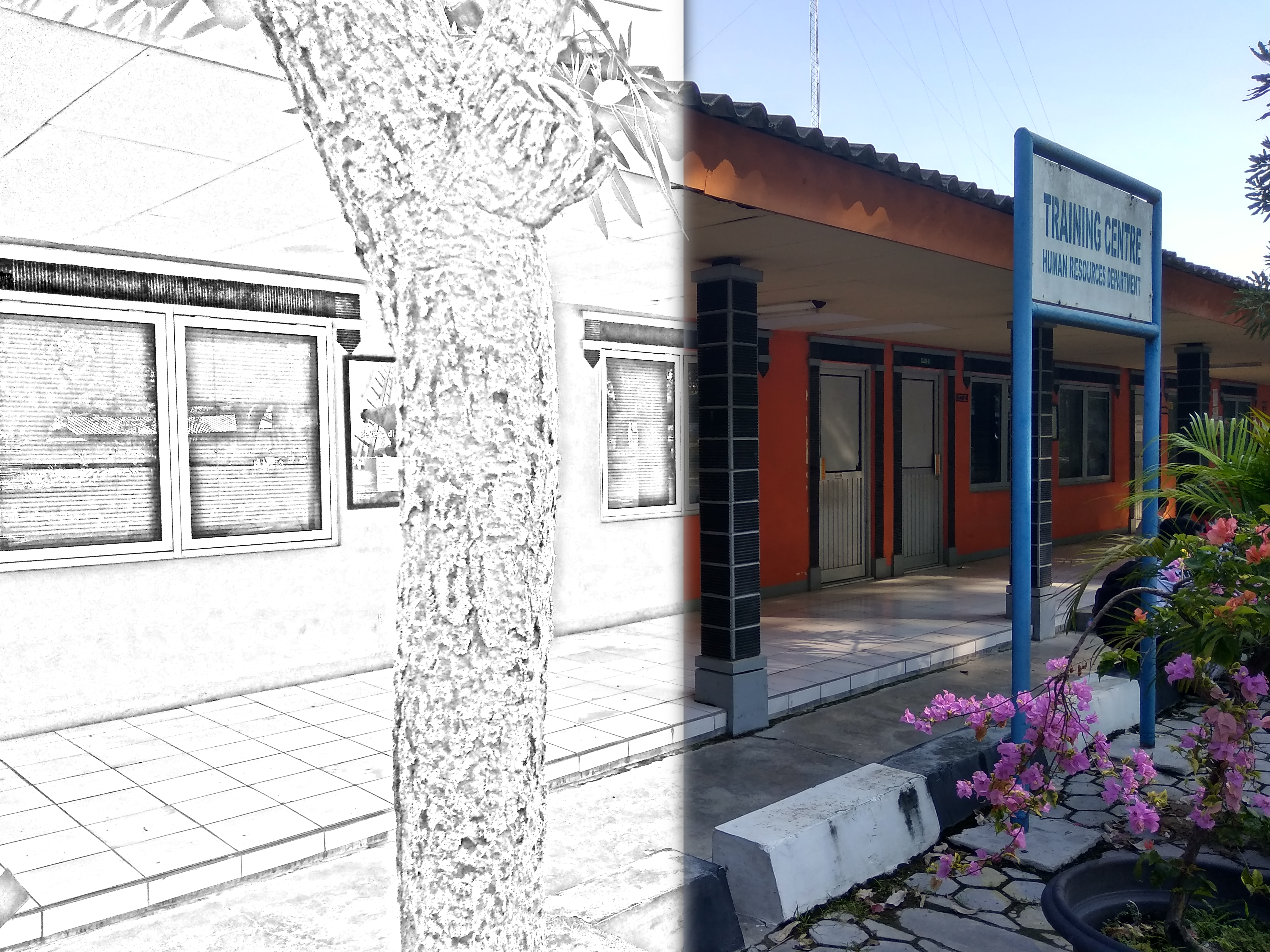 Pencil Sketch, give a sketchy look for your pictures