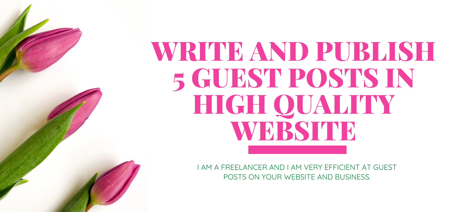 Write and publish 5 Guest posts in high Quality Websi...