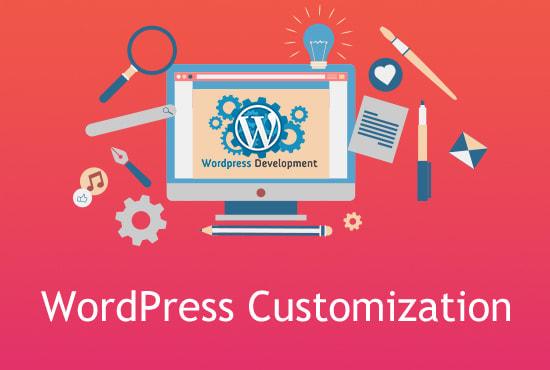 I can do any wordpress theme customization for entire...