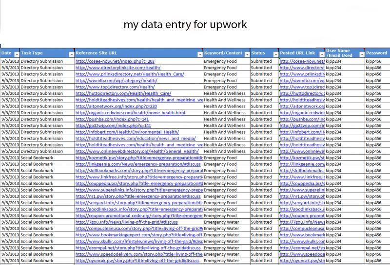I will do data entry work with perfectly and accuracy
